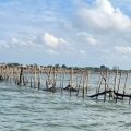 Kasus Pagar Laut Ilegal Masih Dalam Tahap Penyelidikan
