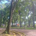 Kembalinya Wisata Taman Remaja Masuk Dalam Porker 100 Hari Helmi-Mian
